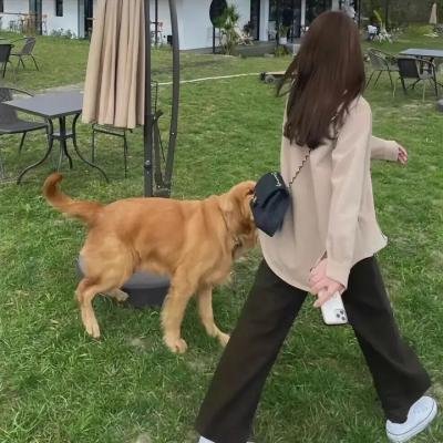 程婴救孤